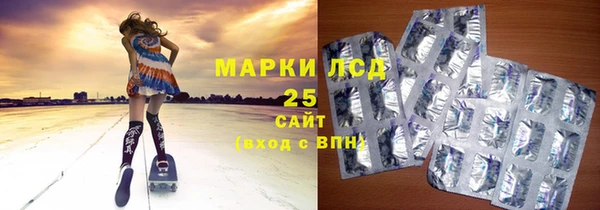 прущий лед Бородино