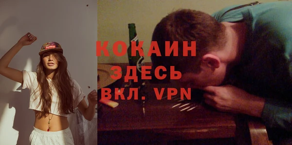 гидра Бронницы