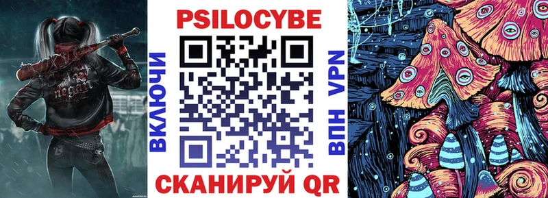 Псилоцибиновые грибы Psilocybine cubensis  ОМГ ОМГ ТОР  Любим 